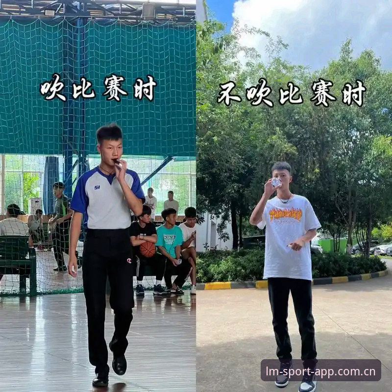 揭秘LM体育官方版本评测：这款体育平台背后的真实实力与用户体验真相